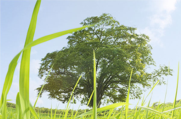 香港六宝大典资料