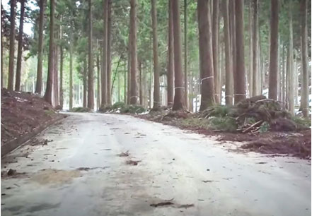 香港六宝大典资料