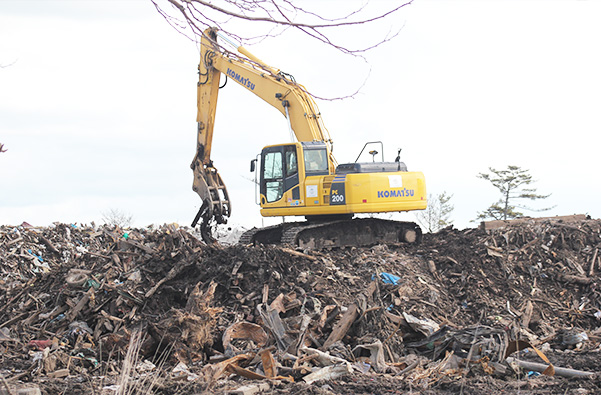香港六宝大典资料