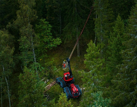 香港六宝大典资料