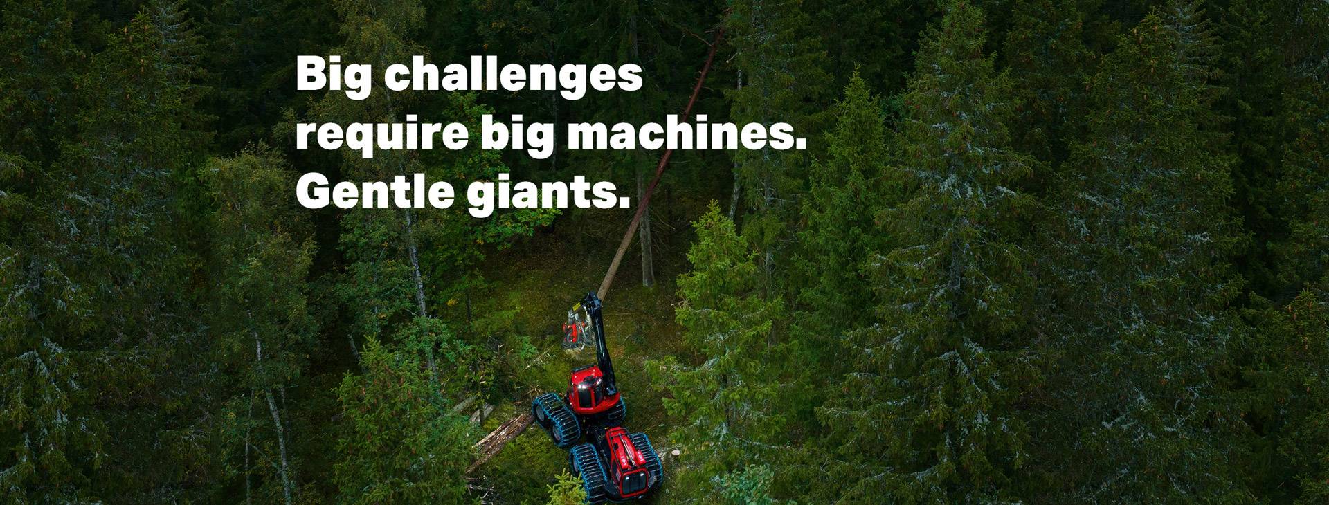 香港六宝大典资料